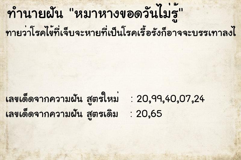 ทำนายฝันทำนายฝันหมาหางขอดวันไม่รู้