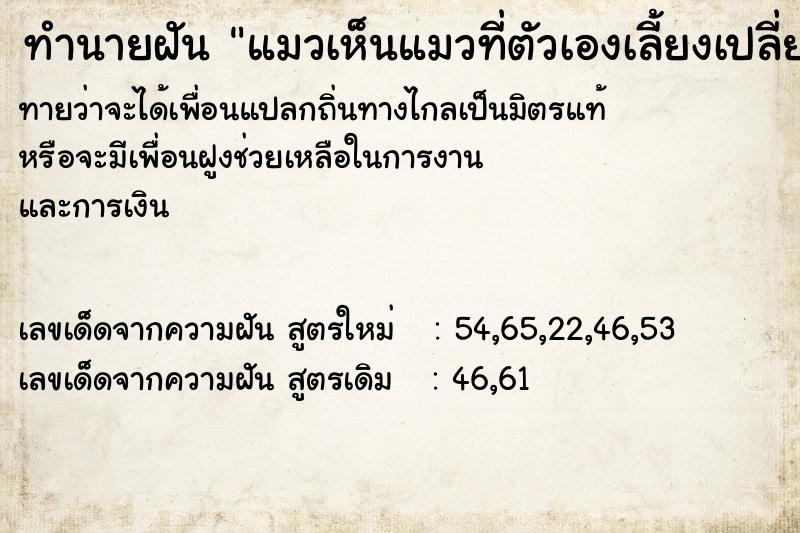 ทำนายฝันแมวเห็นแมวที่ตัวเองเลี้ยงเปลี่ยนสี ทำนายฝันทำนายฝันแมวเห็นแมวที่ตัวเองเลี้ยงเปลี่ยนสี
