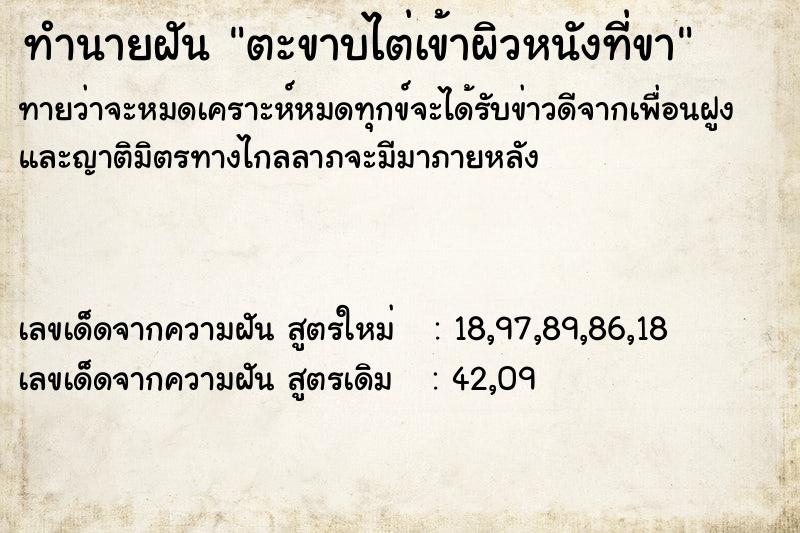 ทำนายฝันตะขาบไต่เข้าผิวหนังที่ขา ทำนายฝันทำนายฝันตะขาบไต่เข้าผิวหนังที่ขา