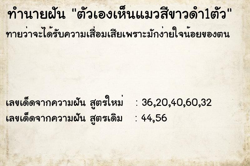 ทำนายฝันทำนายฝันตัวเองเห็นแมวสีขาวดํา1ตัว