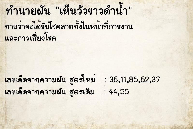 ทำนายฝันเห็นวัวขาวดำน้ำ ทำนายฝันทำนายฝันเห็นวัวขาวดำน้ำ