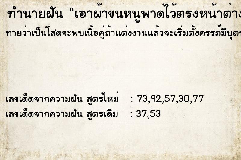 ทำนายฝันเอาผ้าขนหนูพาดไว้ตรงหน้าต่าง ทำนายฝันทำนายฝันเอาผ้าขนหนูพาดไว้ตรงหน้าต่าง