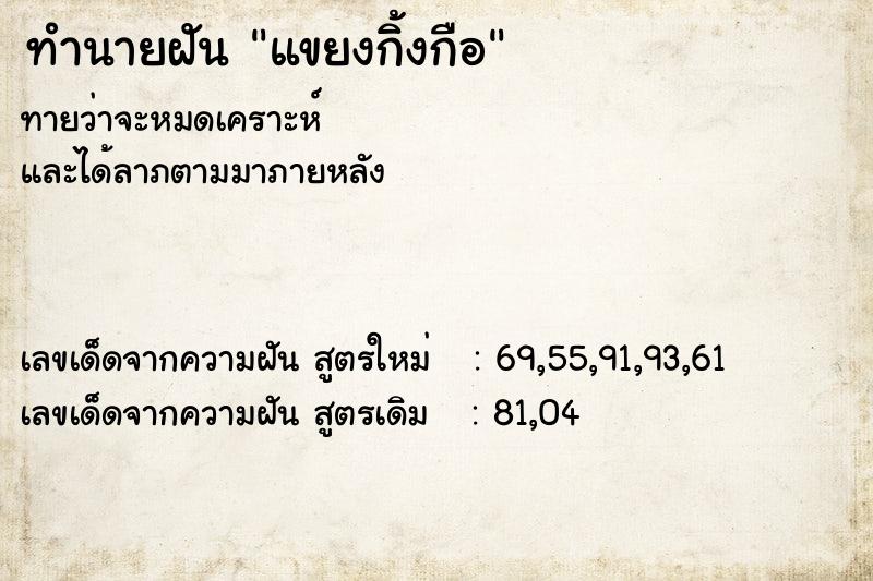 ทำนายฝันทำนายฝันแขยงกิ้งกือ