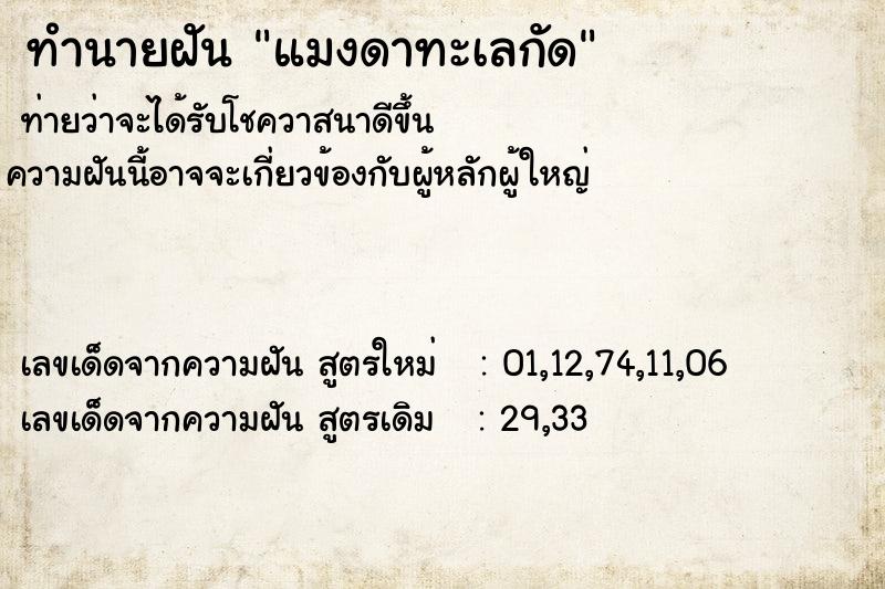 ทำนายฝันแมงดาทะเลกัด ทำนายฝันทำนายฝันแมงดาทะเลกัด