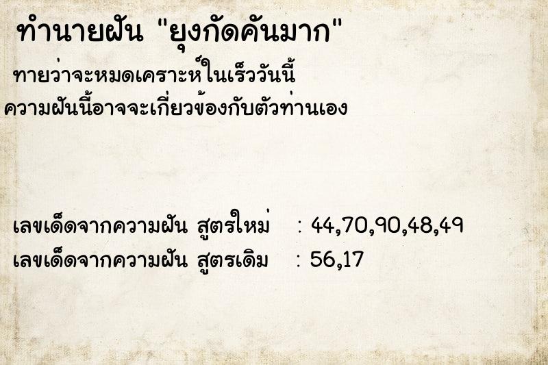 ทำนายฝันยุงกัดคันมาก ทำนายฝันทำนายฝันยุงกัดคันมาก