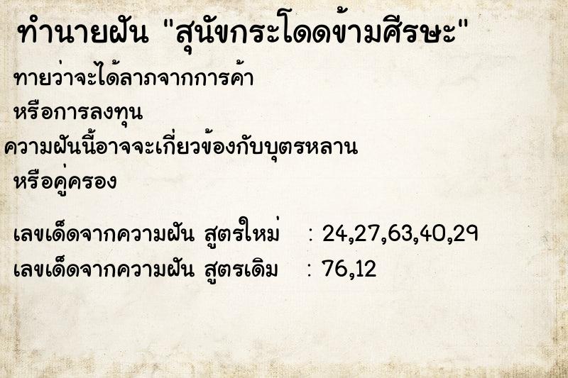 ทำนายฝันทำนายฝันสุนัขกระโดดข้ามศีรษะ