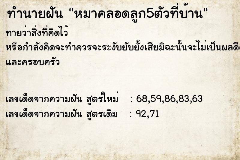 ทำนายฝัน หมาคลอดลูก5ตัวที่บ้าน ตำราโบราณ แม่นที่สุดในโลก