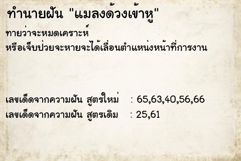 ทำนายฝันแมลงด้วงเข้าหู ทำนายฝันทำนายฝันแมลงด้วงเข้าหู