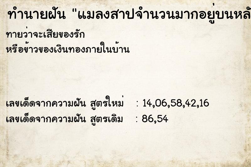 ทำนายฝันทำนายฝันแมลงสาปจำนวนมากอยู่บนหลัง