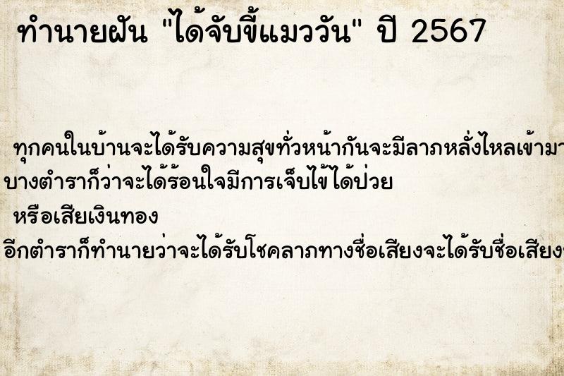 ทำนายฝันทำนายฝันได้จับขี้แมววัน