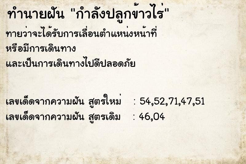 ทำนายฝันกำลังปลูกข้าวไร่ ทำนายฝันทำนายฝันกำลังปลูกข้าวไร่