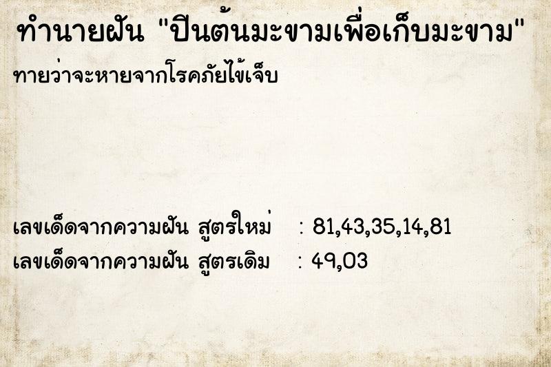 ทำนายฝันทำนายฝันปีนต้นมะขามเพื่อเก็บมะขาม