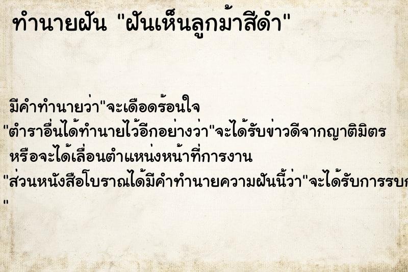 ทำนายฝันฝันเห็นลูกม้าสีดำ ทำนายฝันทำนายฝันฝันเห็นลูกม้าสีดำ