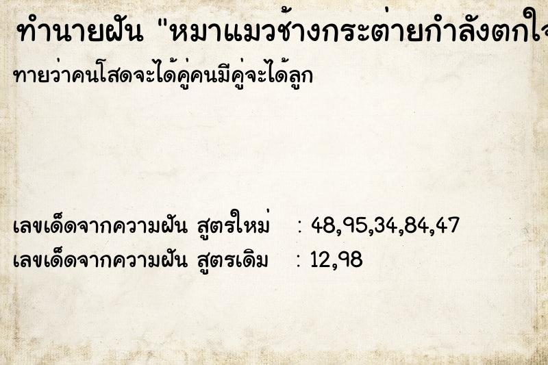 ทำนายฝันหมาแมวช้างกระต่ายกำลังตกใจ ทำนายฝันทำนายฝันหมาแมวช้างกระต่ายกำลังตกใจ