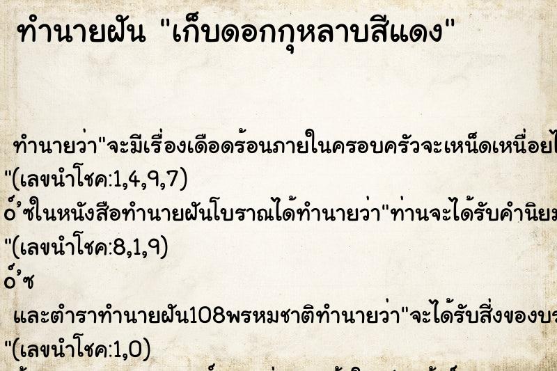 ทำนายฝัน เก็บดอกกุหลาบสีแดง