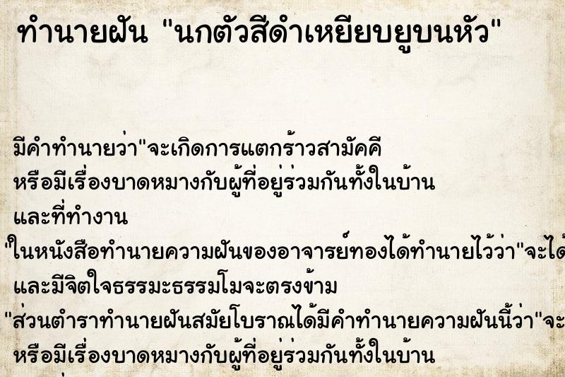 ทำนายฝันนกตัวสีดำเหยียบยูบนหัว ทำนายฝันทำนายฝันนกตัวสีดำเหยียบยูบนหัว