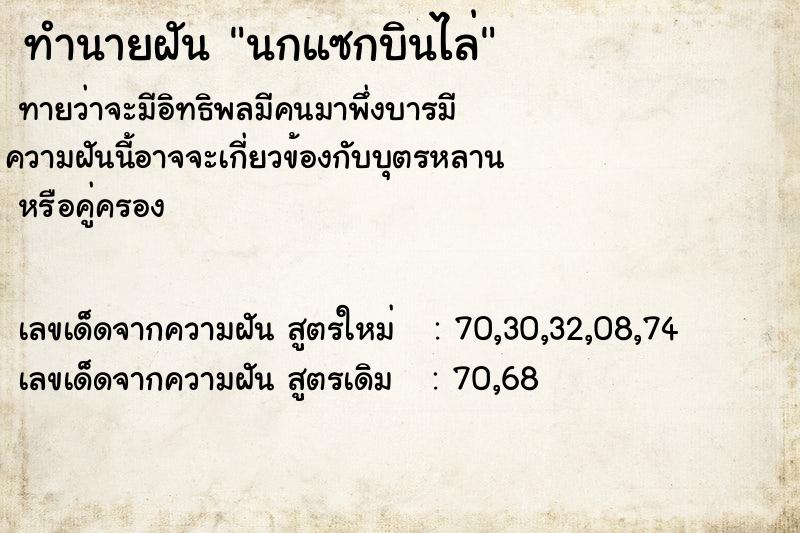 ทำนายฝันนกแซกบินไล่ ทำนายฝันทำนายฝันนกแซกบินไล่