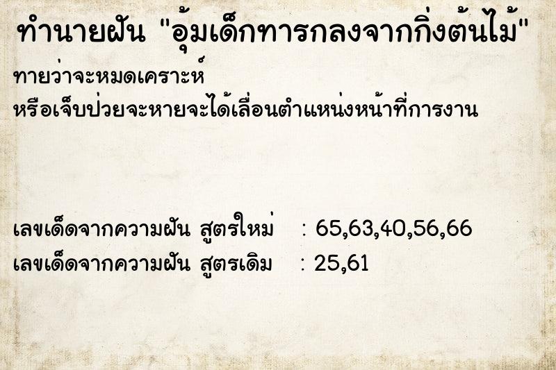 ทำนายฝันอุ้มเด็กทารกลงจากกิ่งต้นไม้ ทำนายฝันทำนายฝันอุ้มเด็กทารกลงจากกิ่งต้นไม้