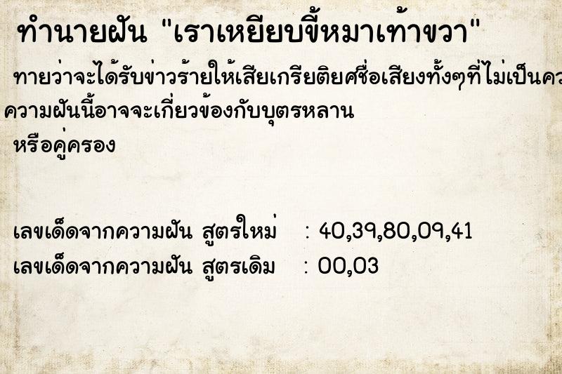 ทำนายฝันเราเหยียบขี้หมาเท้าขวา ทำนายฝันทำนายฝันเราเหยียบขี้หมาเท้าขวา