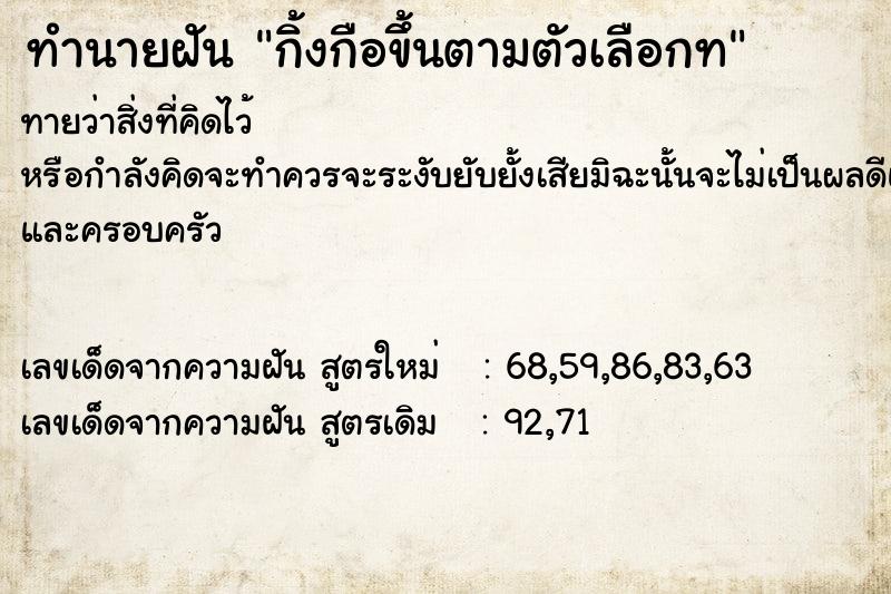 ทำนายฝันกิ้งกือขึ้นตามตัวเลือกท ทำนายฝันทำนายฝันกิ้งกือขึ้นตามตัวเลือกท