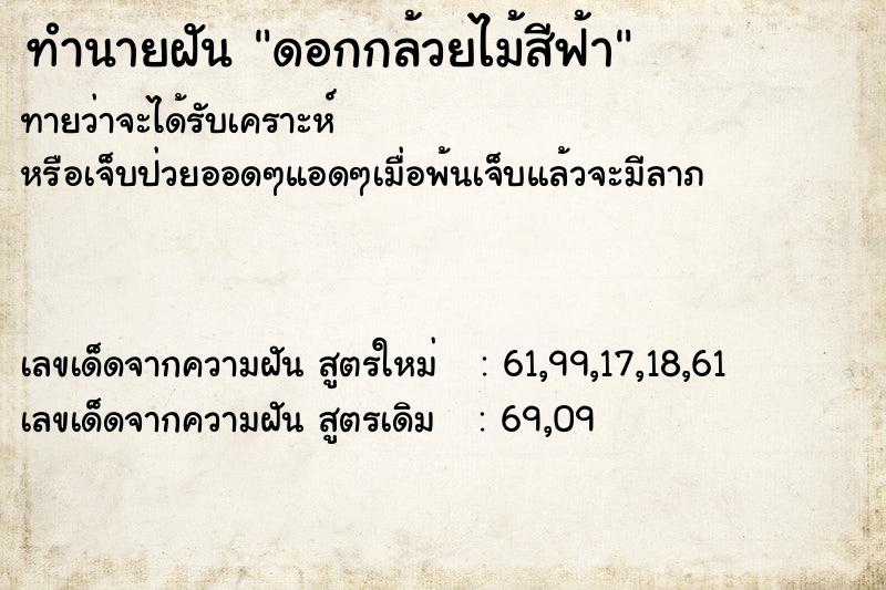 ทำนายฝันทำนายฝันดอกกล้วยไม้สีฟ้า