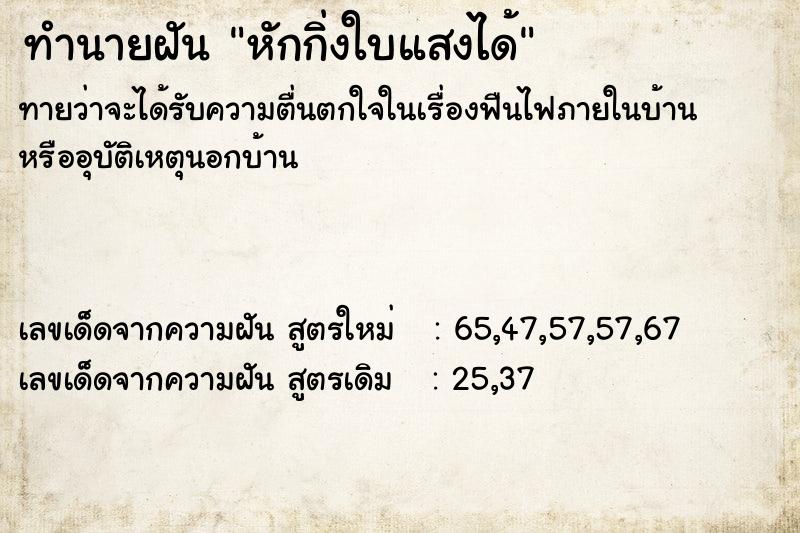 ทำนายฝัน หักกิ่งใบแสงได้ ทำนายฝัน หักกิ่งใบแสงได้