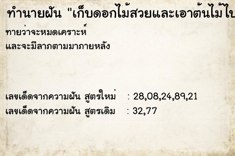 ทำนายฝันทำนายฝันเก็บดอกไม้สวยและเอาต้นไม้ไปปลูกที่บ้าน