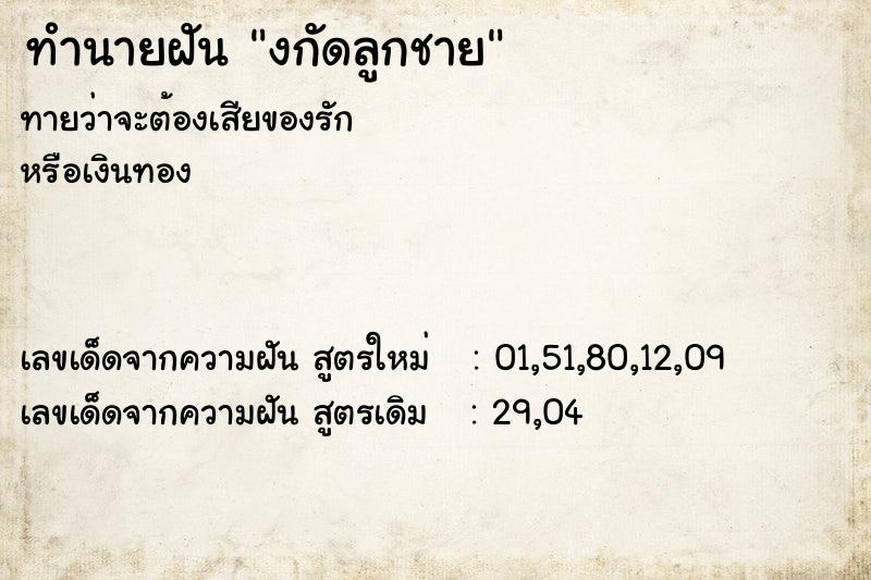 ทำนายฝันงกัดลูกชาย ทำนายฝันทำนายฝันงกัดลูกชาย