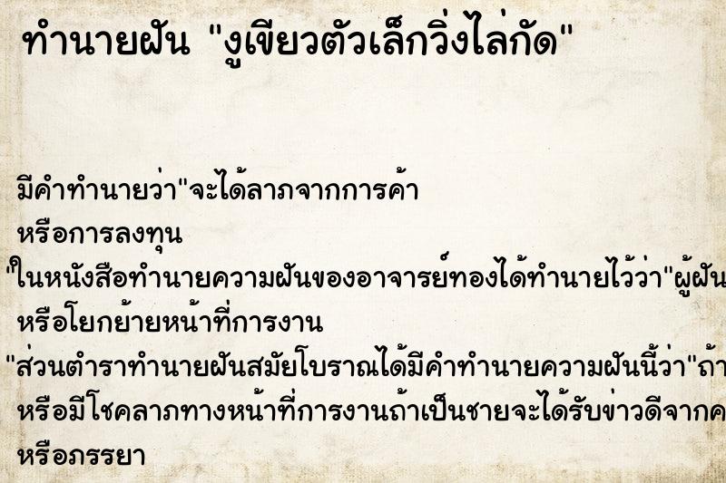 ทำนายฝันงูเขียวตัวเล็กวิ่งไล่กัด ทำนายฝันทำนายฝันงูเขียวตัวเล็กวิ่งไล่กัด