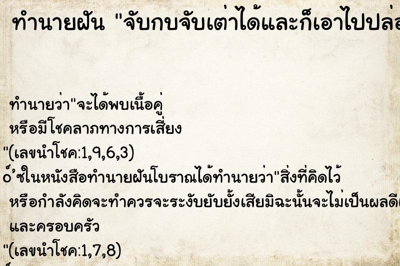 ทำนายฝัน จับกบจับเต่าได้และก็เอาไปปล่อย ทำนายฝัน จับกบจับเต่าได้และก็เอาไปปล่อย