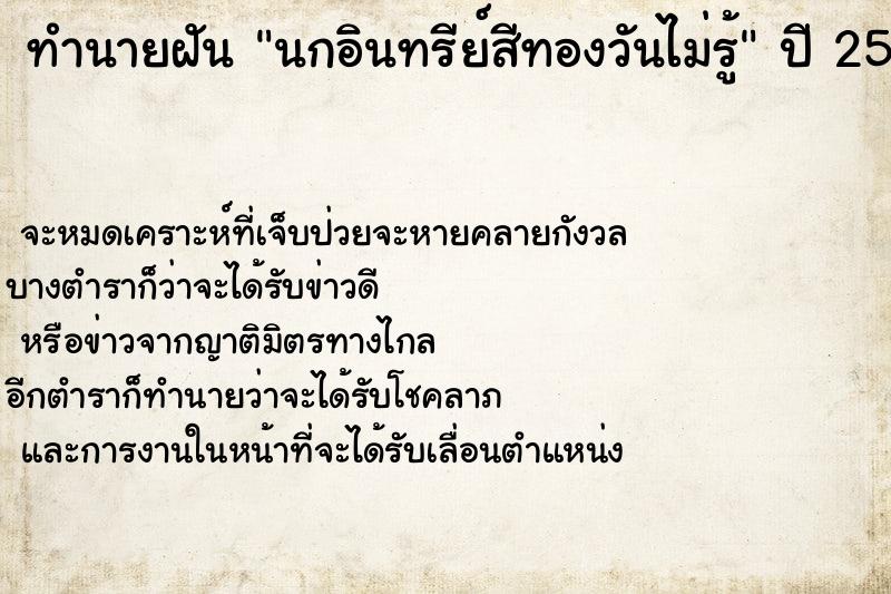 ทำนายฝันนกอินทรีย์สีทองวันไม่รู้ ทำนายฝันทำนายฝันนกอินทรีย์สีทองวันไม่รู้