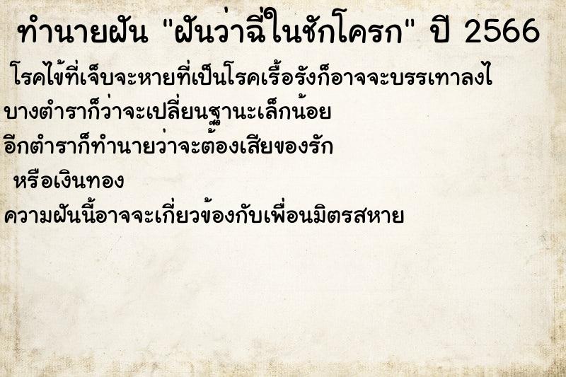 ทำนายฝัน ฝันว่าฉี่ในชักโครก ทำนายฝัน ฝันว่าฉี่ในชักโครก