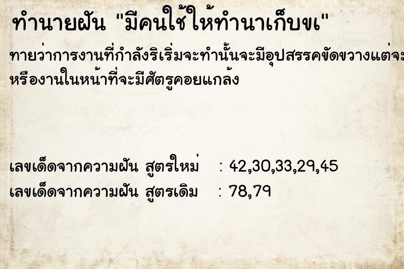 ทำนายฝัน มีคนใช้ให้ทำนาเก็บขà ทำนายฝัน มีคนใช้ให้ทำนาเก็บขà