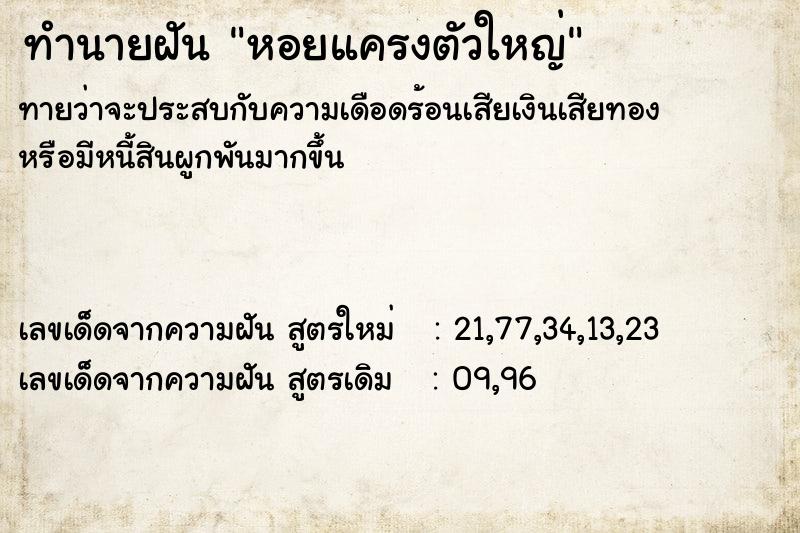 ทำนายฝันหอยแครงตัวใหญ่ ทำนายฝันทำนายฝันหอยแครงตัวใหญ่