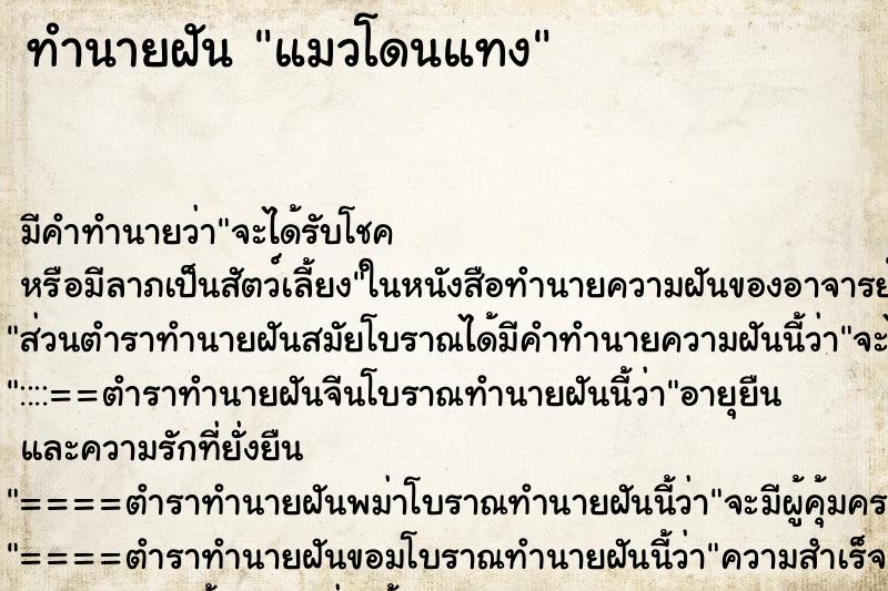 ทำนายฝัน แมวโดนแทง