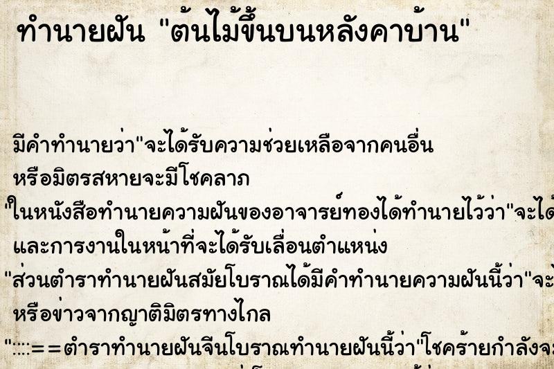 ทำนายฝัน ต้นไม้ขึ้นบนหลังคาบ้าน