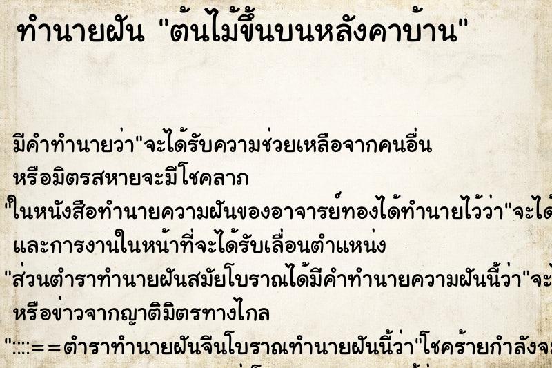 ทำนายฝัน ต้นไม้ขึ้นบนหลังคาบ้าน ตำราโบราณ แม่นที่สุดในโลก