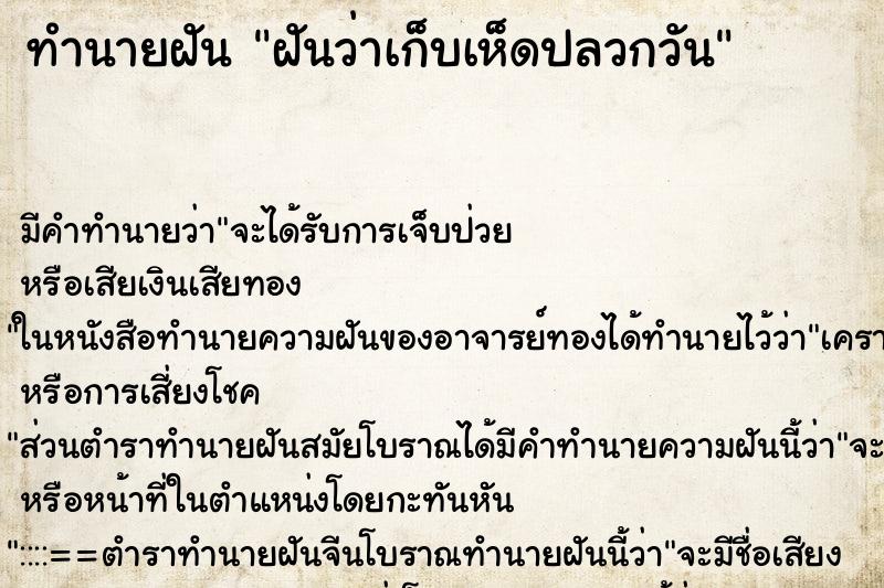 ทำนายฝัน ฝันว่าเก็บเห็ดปลวกวัน ทำนายฝัน ฝันว่าเก็บเห็ดปลวกวัน