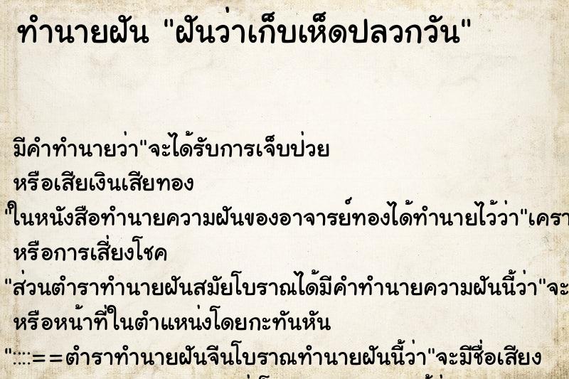 ทำนายฝัน ฝันว่าเก็บเห็ดปลวกวัน ตำราโบราณ แม่นที่สุดในโลก