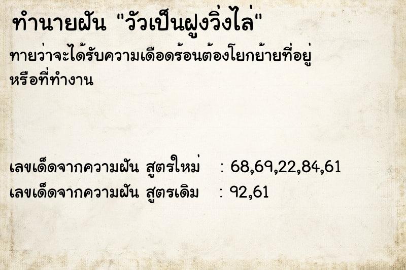 ทำนายฝันวัวเป็นฝูงวิ่งไล่ ทำนายฝันทำนายฝันวัวเป็นฝูงวิ่งไล่