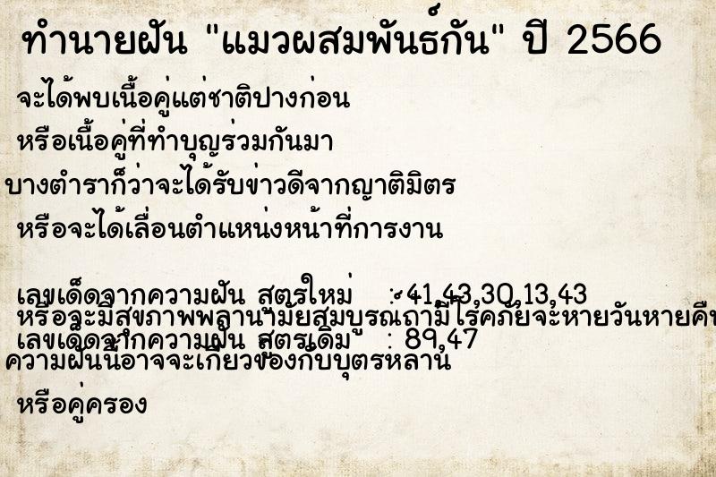 ทำนายฝัน แมวผสมพันธ์กัน ทำนายฝัน แมวผสมพันธ์กัน