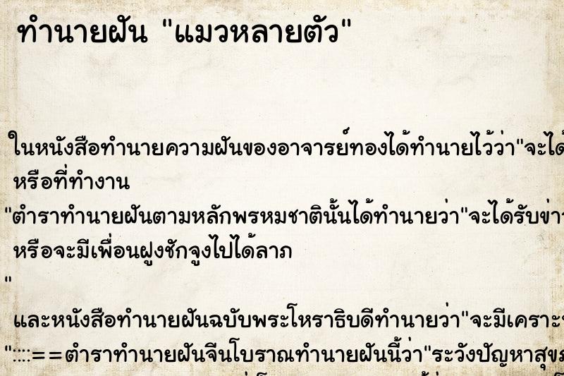 ทำนายฝัน แมวหลายตัว แม่นๆ ฟรี ด้วยตำราหนังสือทำนายฝันโบราณ ทำนายฝันแมวหลายตัว