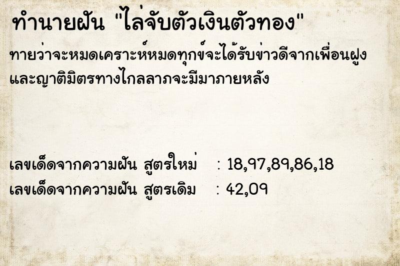 ทำนายฝันทำนายฝันไล่จับตัวเงินตัวทอง