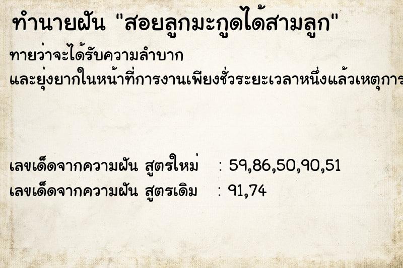 ทำนายฝันสอยลูกมะกูดได้สามลูก ทำนายฝันทำนายฝันสอยลูกมะกูดได้สามลูก