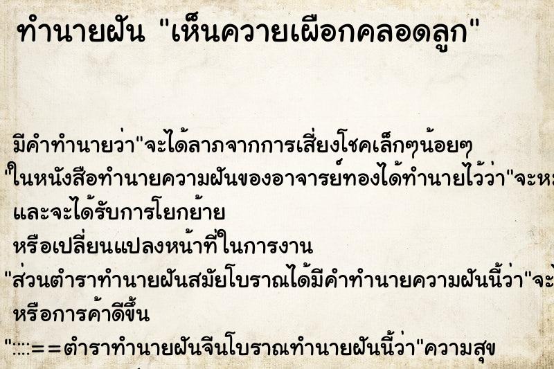 ทำนายฝัน เห็นควายเผือกคลอดลูก ทำนายฝัน เห็นควายเผือกคลอดลูก