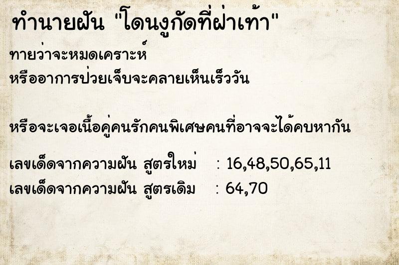 ทำนายฝันทำนายฝันโดนงูกัดที่ฝ่าเท้า