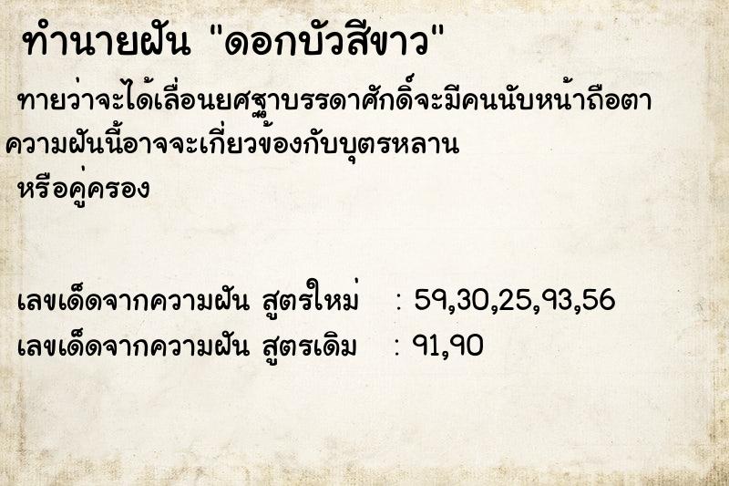 ทำนายฝัน8856d9235538a9e1b1989e525b68b65dดอกบัวสีขาว ทำนายฝันทำนายฝัน8856d9235538a9e1b1989e525b68b65dดอกบัวสีขาว
