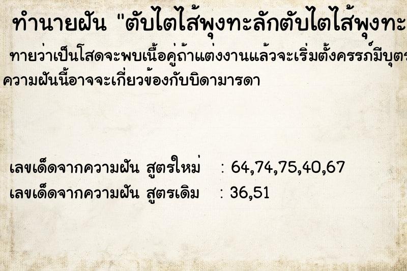ทำนายฝันตับไตไส้พุงทะลักตับไตไส้พุงทะลัก ทำนายฝันทำนายฝันตับไตไส้พุงทะลักตับไตไส้พุงทะลัก