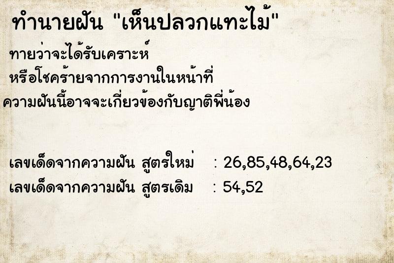 ทำนายฝันทำนายฝันเห็นปลวกแทะไม้