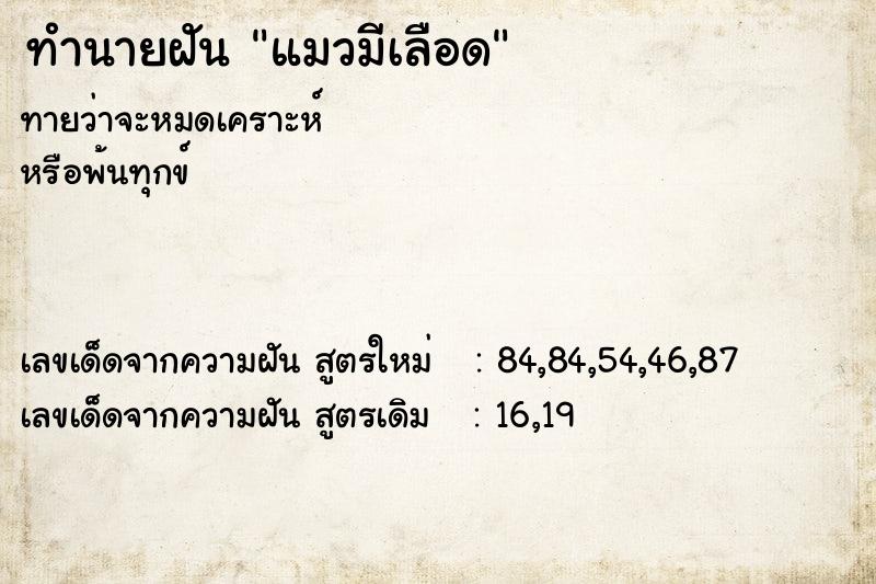 ทำนายฝันทำนายฝันแมวมีเลือด